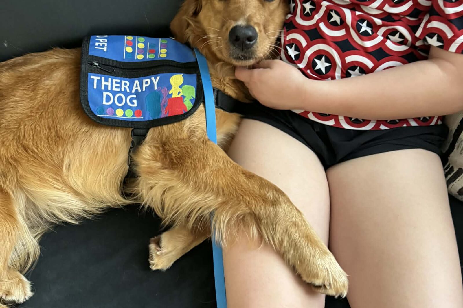 A therapy dog in its vest resting against a child on the couch